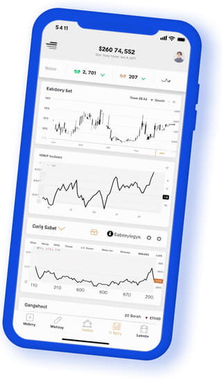Valor Gainmere digital web application on mobile device